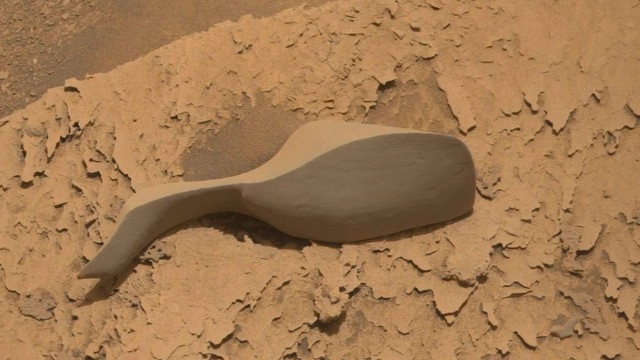 Bizarre Rock Spotted On Mars Is Being Compared To A Sex Toy