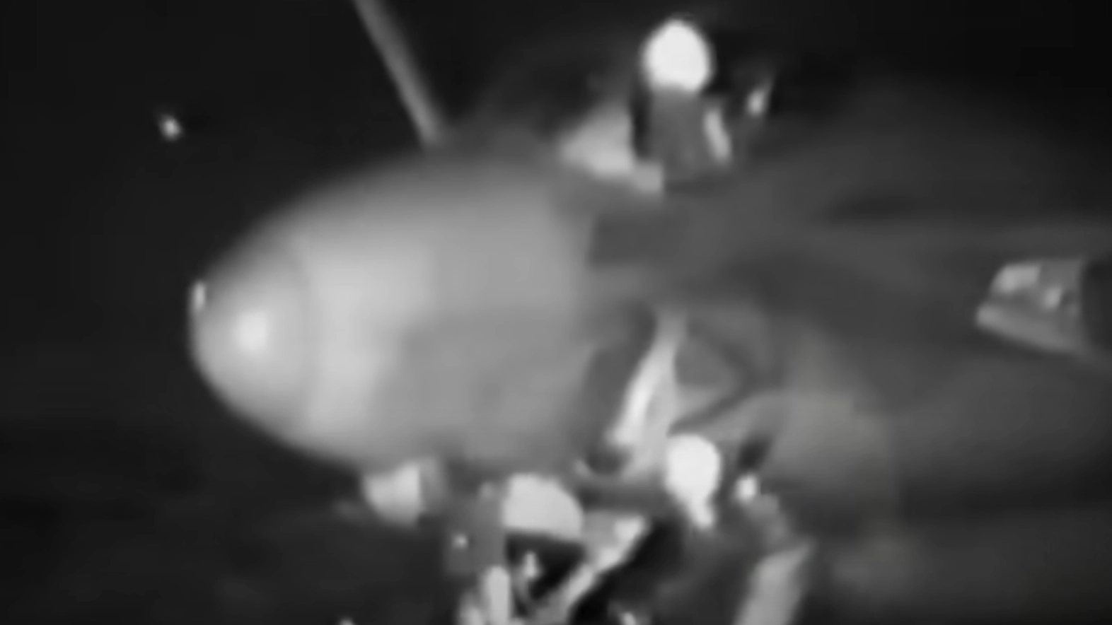 Terrifying footage shows moment man nearly dies after being sucked into a jet engine
