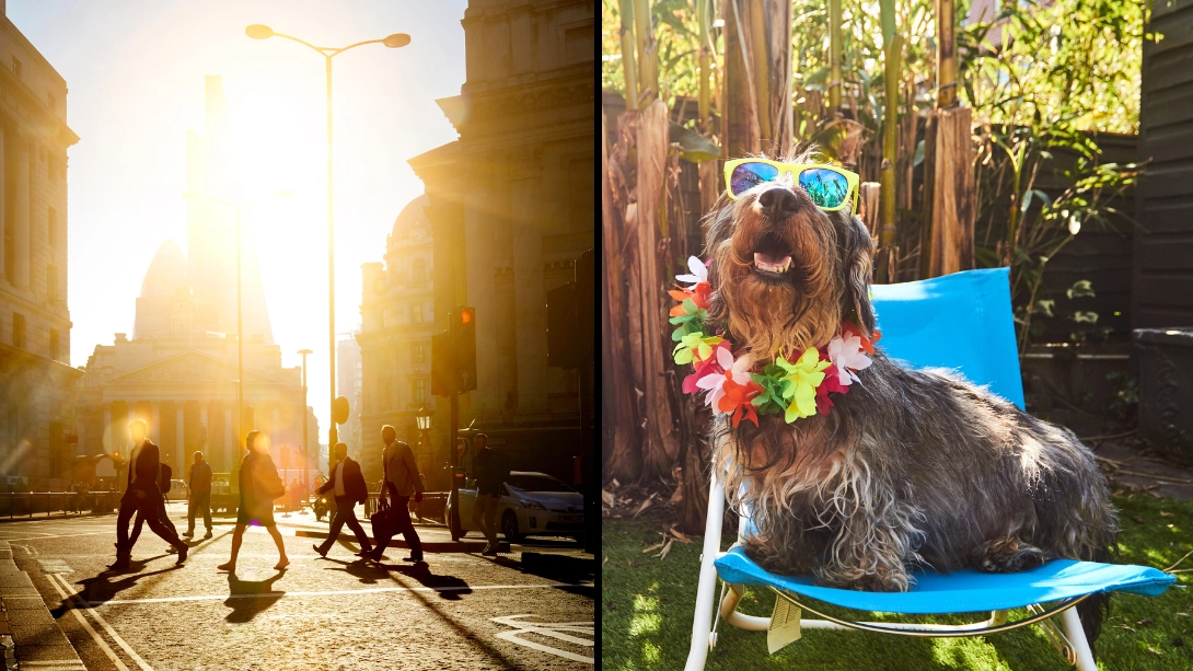 Expert reveals why UK heat feels hotter than it actually is