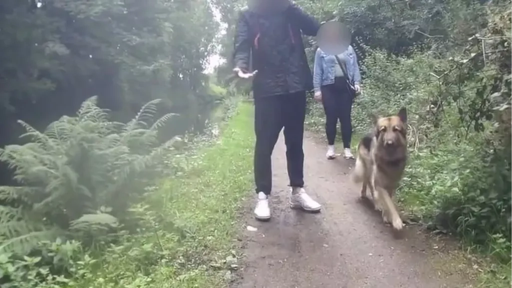 Dog walker speaks out after 'pushing' cyclist into canal over 'not slowing down' in shocking footage