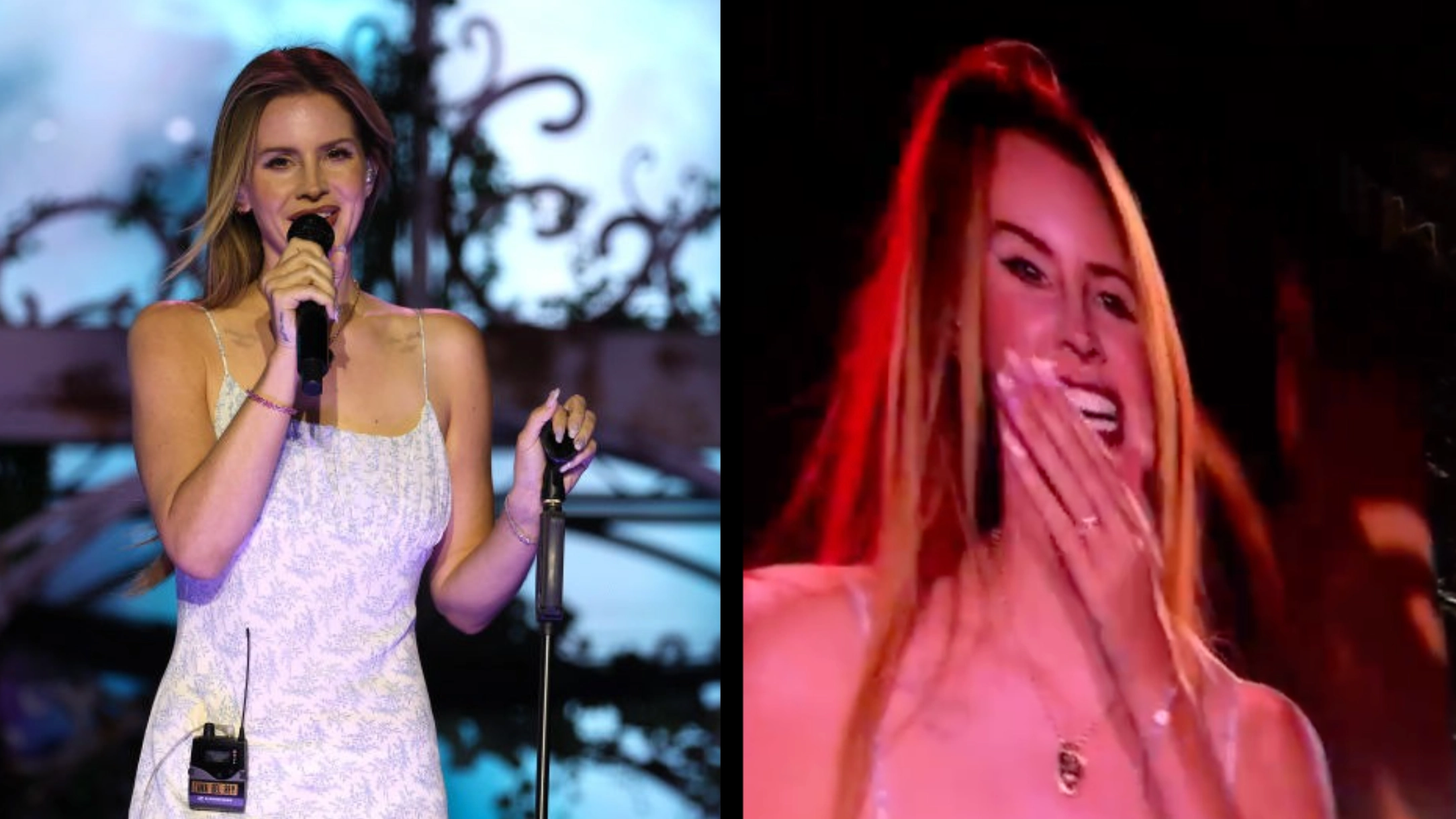 Reading Festival fans slam Lana Del Rey as her set is cut short after she broke golden rule