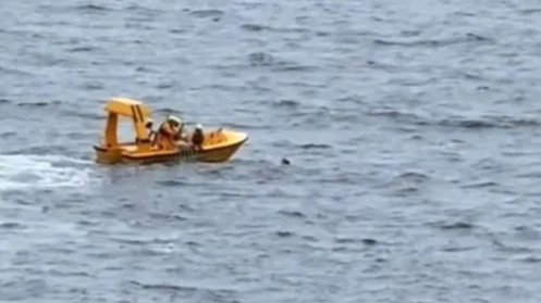 Moment fearless dad jumped into sea to save daughter who fell from Disney cruise ship