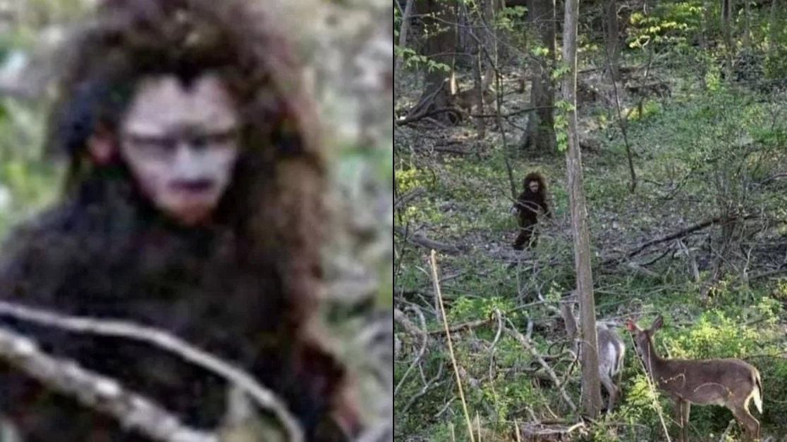 'Baby Bigfoot' caught on camera wandering through woods with deer