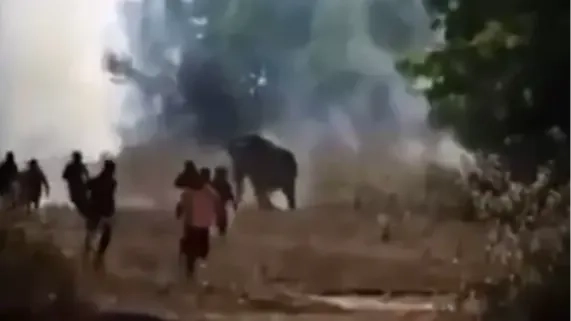Killer elephant still on rampage kills more than 10 people in a week