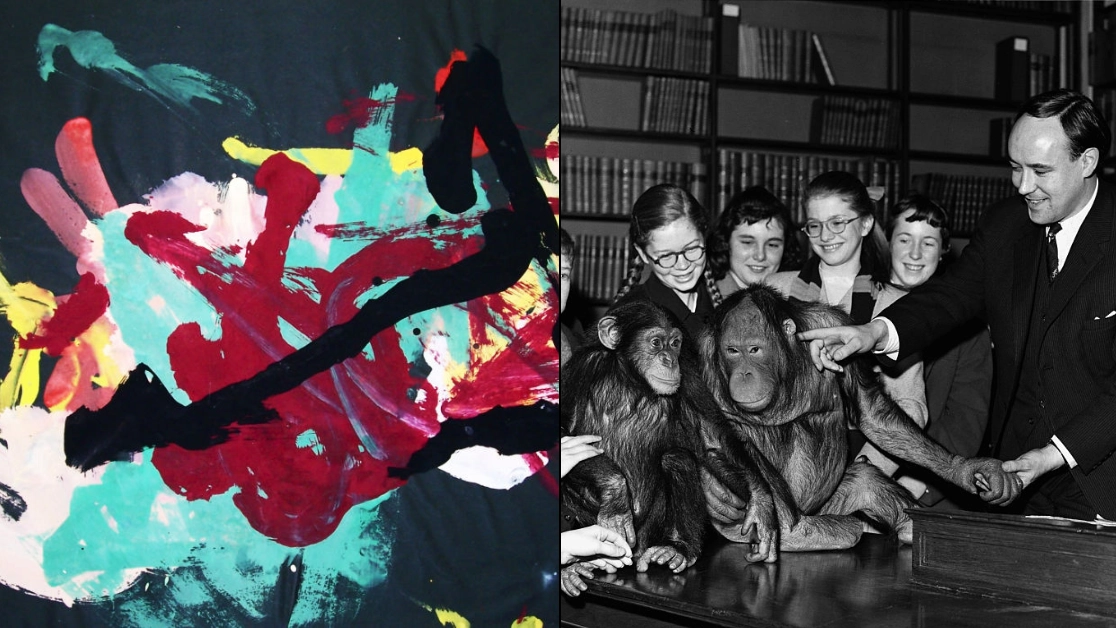 Art painted by a chimpanzee sold for insane amount of money