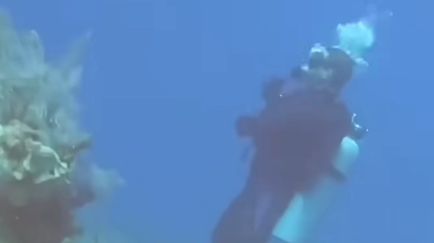 Divers shocked after hearing insane noise whilst diving at the bottom of the sea