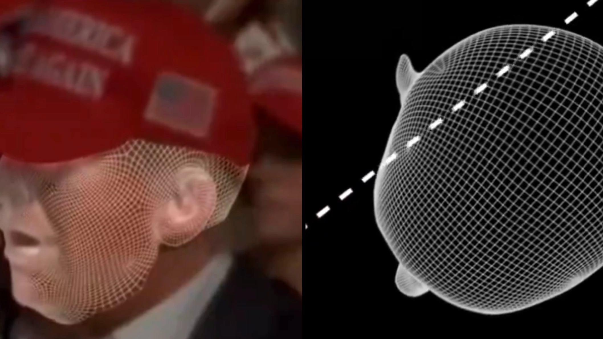 New visualisation shows how close Donald Trump was from losing his life in assassination attempt