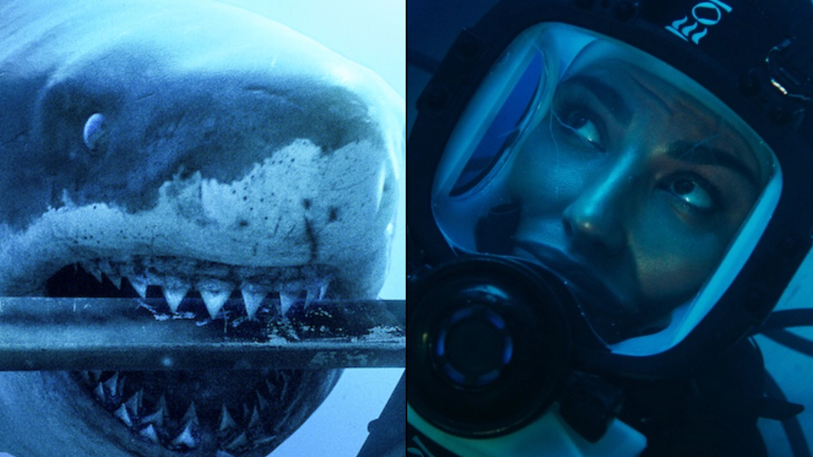 Epic new survival thriller becomes number one movie on Netflix
