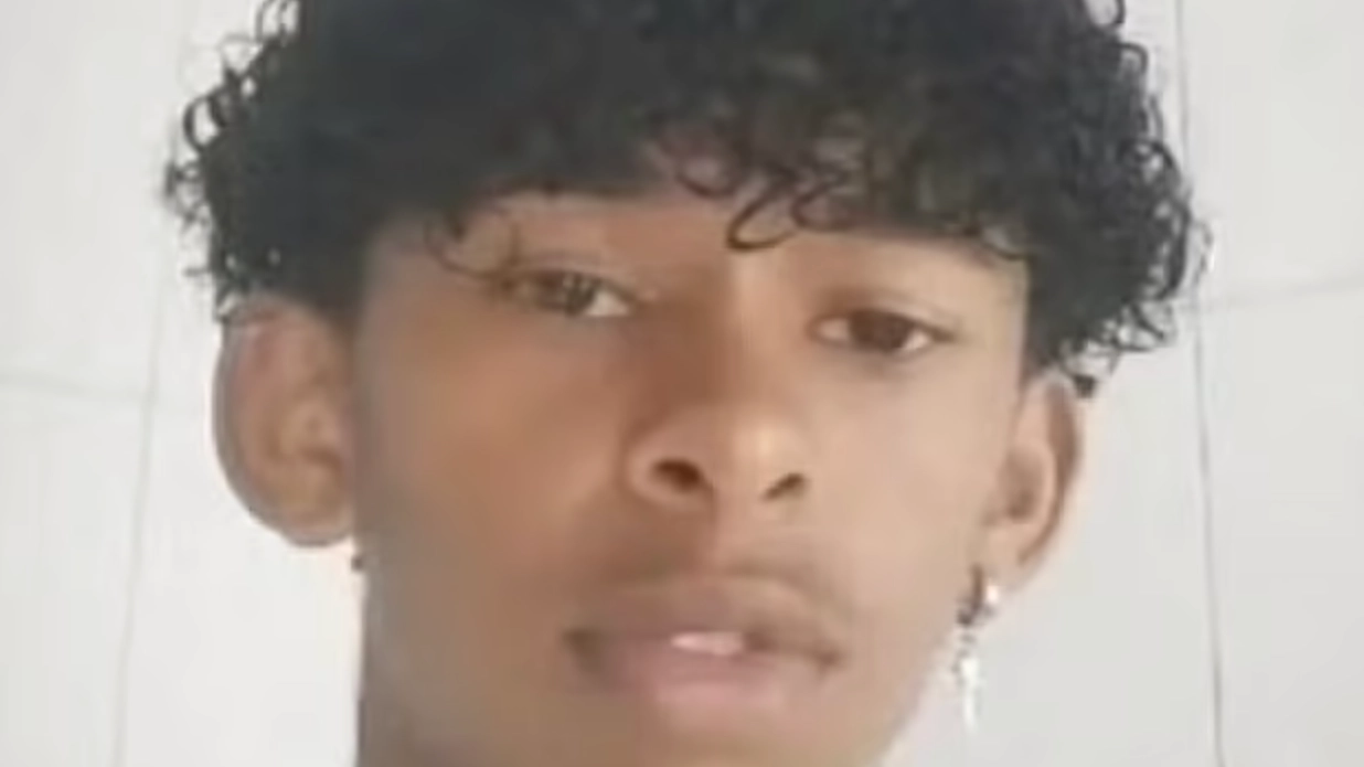 Boy, 14, dies after 'injecting himself with butterfly remains' as police probe online 'challenge'