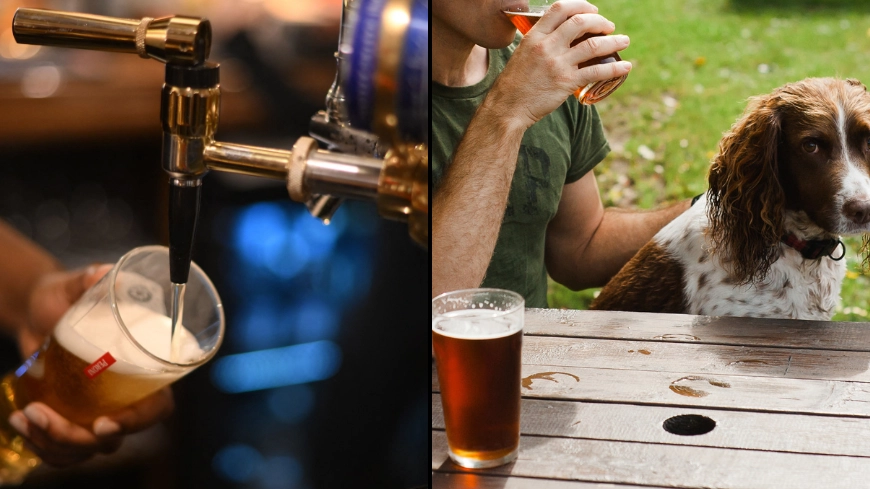 Huge mistake owners make when taking their dog to the pub