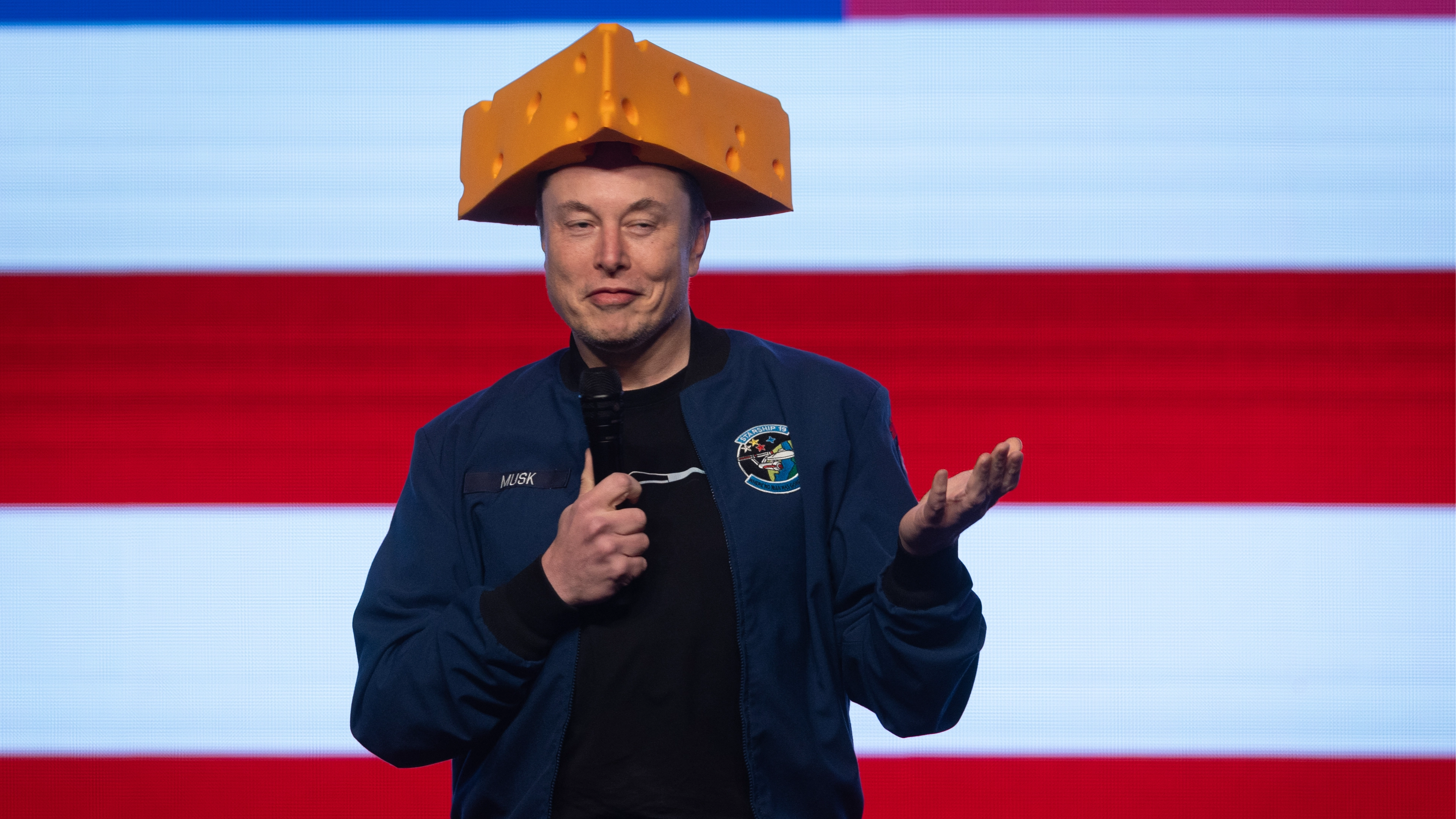 Elon Musk reacts furiously to reports Tesla is ‘looking for his replacement’ as CEO