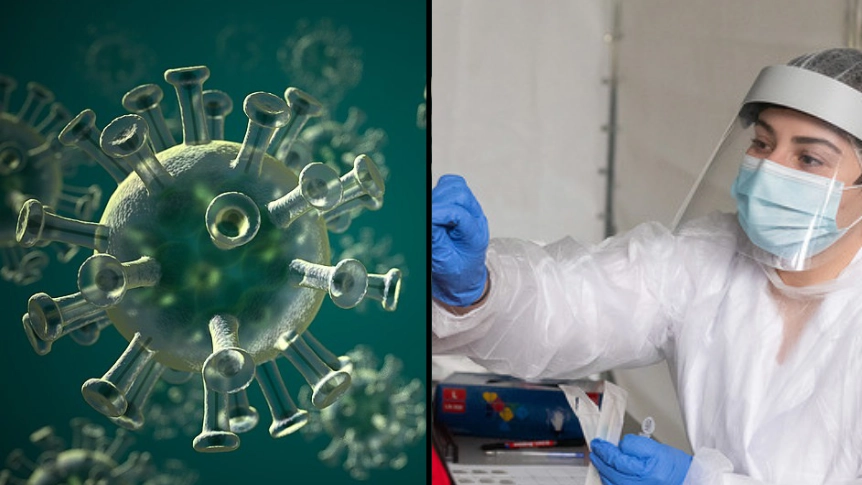 World Health Organization Reveals Covid-19 Death Toll Is Almost Triple Official Number