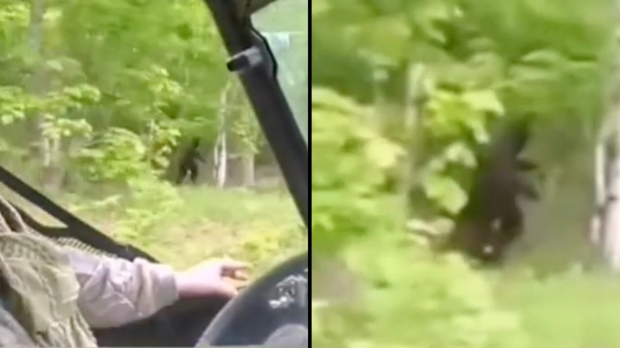 Lads Reckon They've Spotted Bigfoot Running In The Background Of Their Video