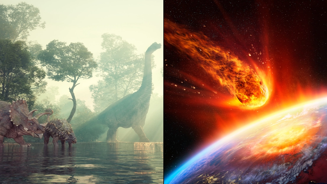 Scientists have finally made major breakthrough in discovering where dinosaur-killing asteroid came from