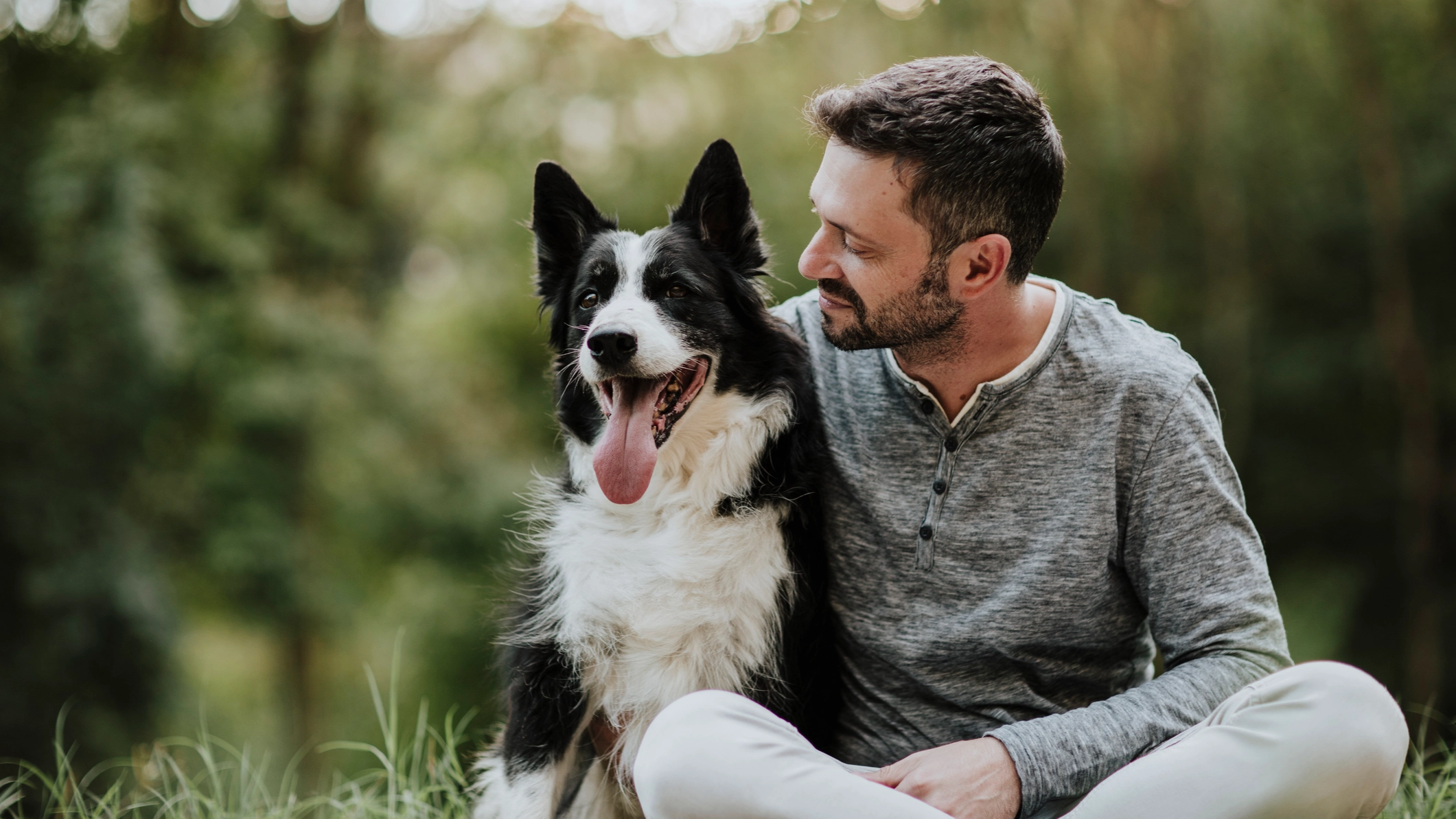 New pill that gives your dog longer life could be released in one year