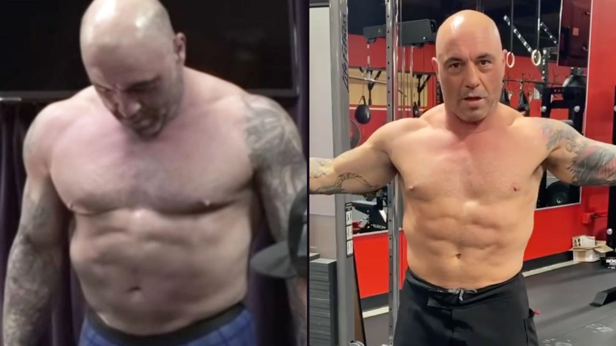 Joe Rogan says he had 'explosive diarrhoea' and lost 12lbs after trying 'wacky' diet for a month