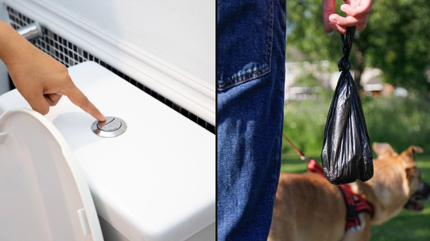 Vet warns you should never flush your pets poo down the loo
