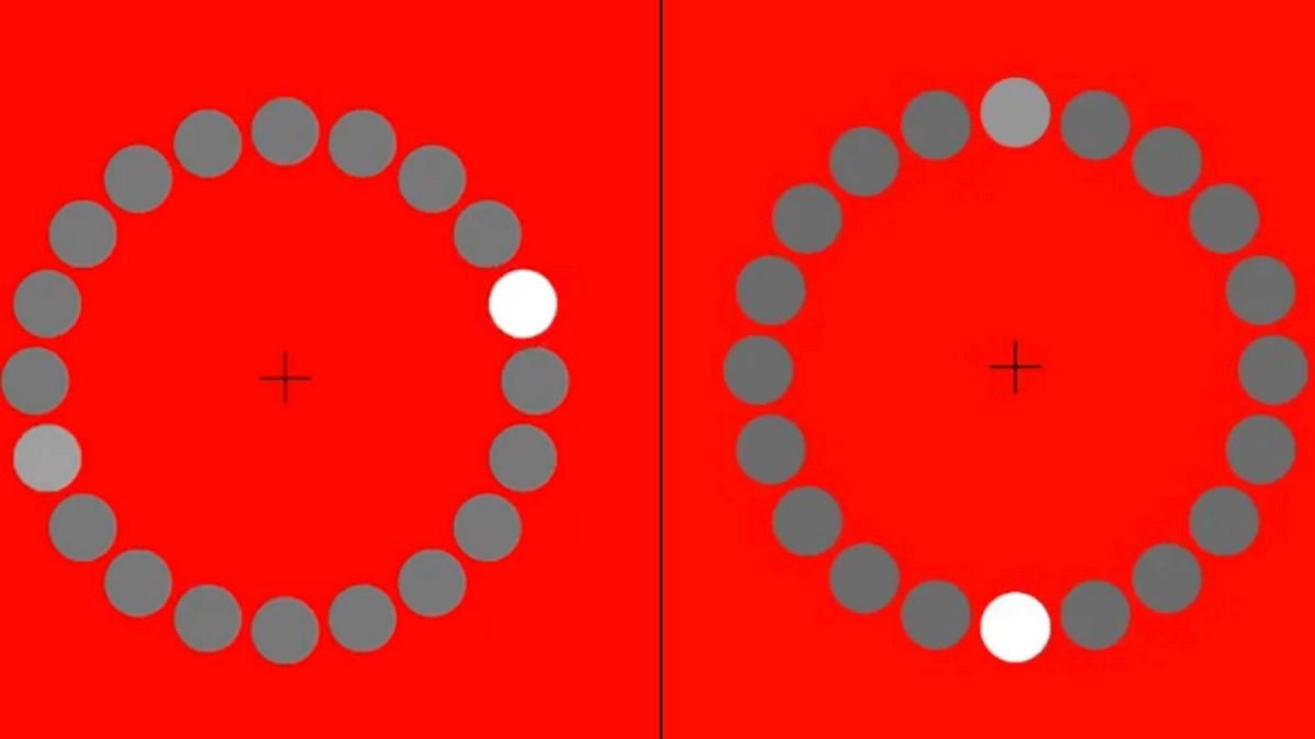 Illusion Of White Moving Dot Divides The Internet