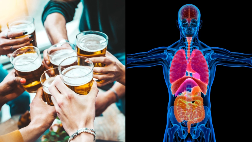 Everything popular new 'Zebra Striping' drinking method does to your body