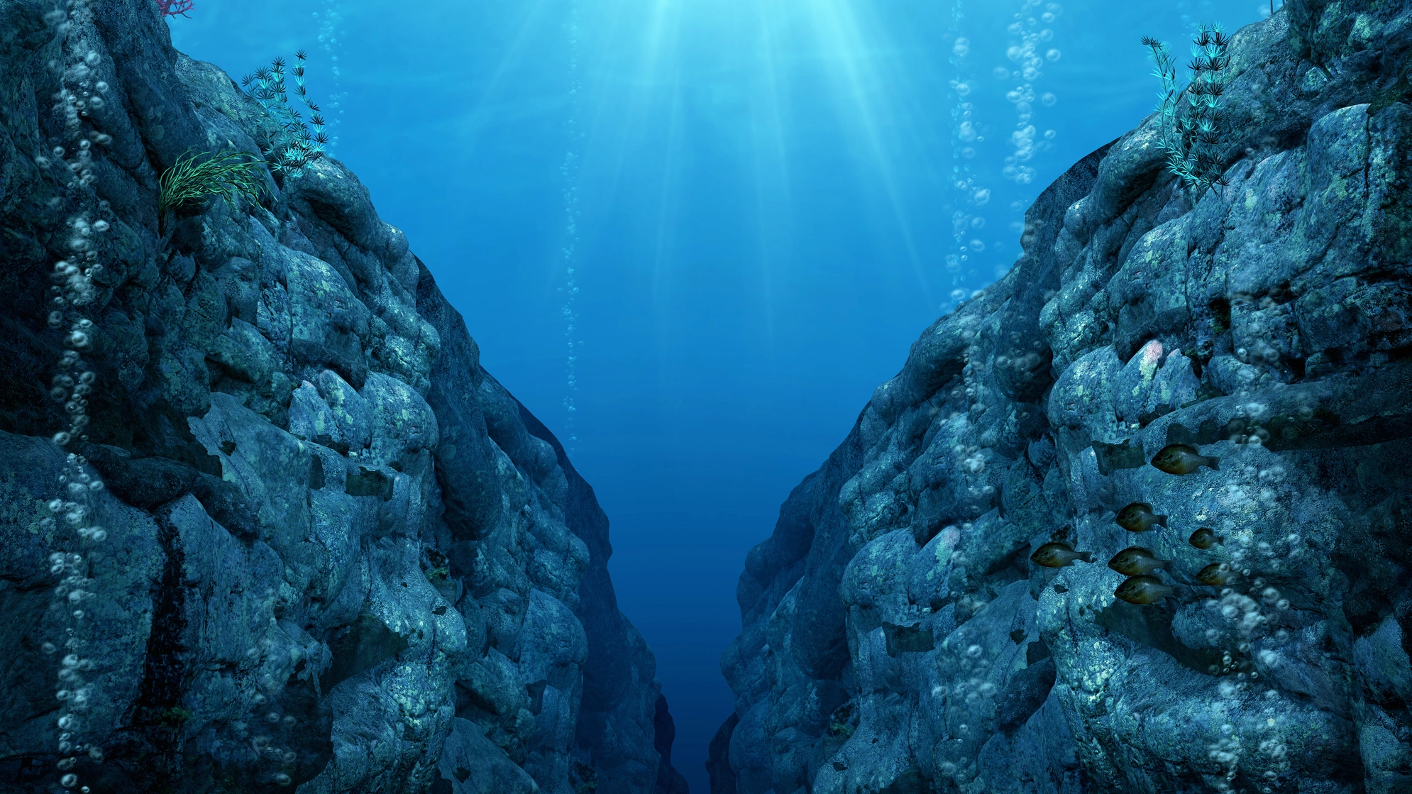 Camera at the deepest point of the ocean made disturbing discovery