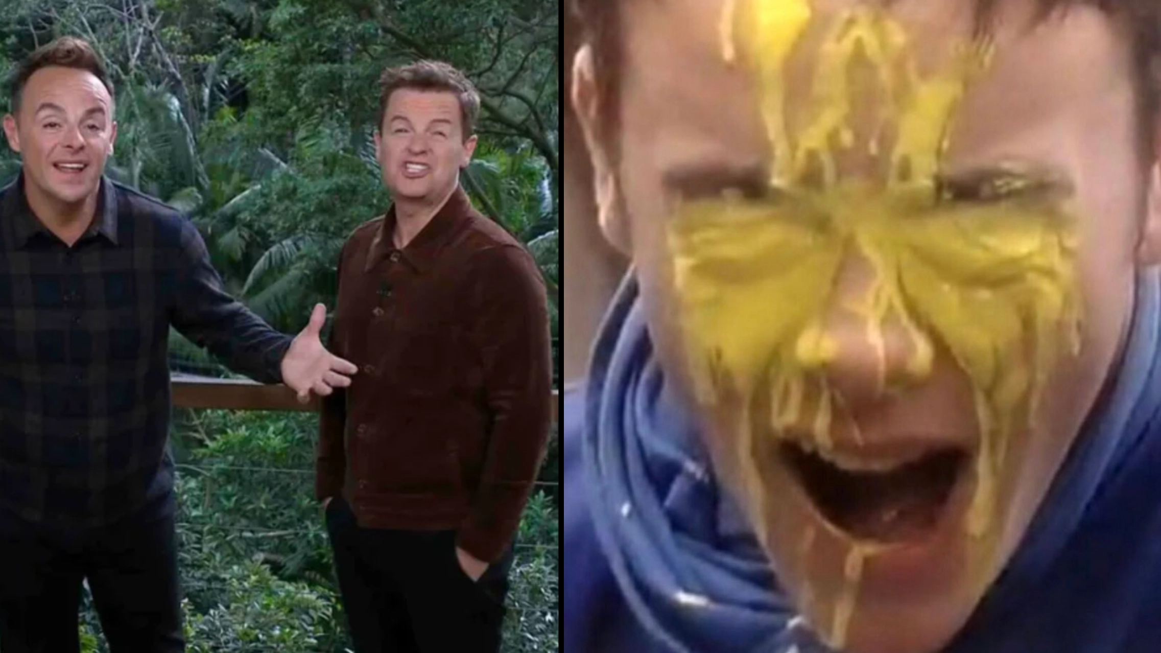 I'm A Celeb fans are only just realising where joke Ant and Dec keep making came from