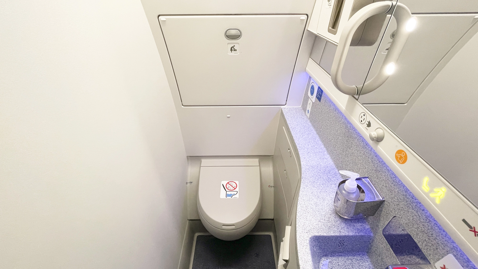 Pilot 'pulled passenger out of toilet whilst he still had his pants down' because he 'took too long'
