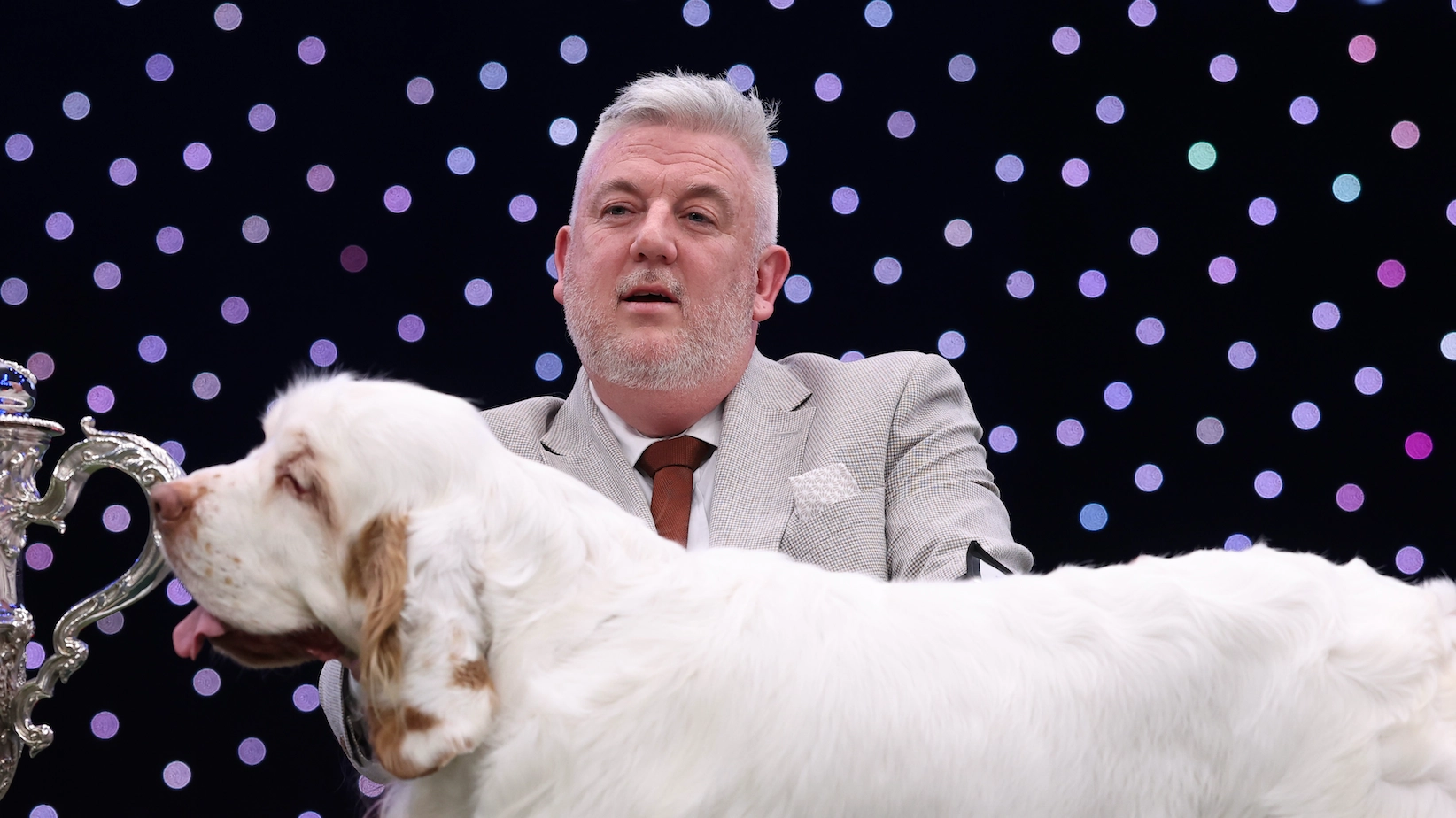 Crufts Best in Show winner convicted of animal cruelty after keeping dogs 'bald, scabby and filthy'