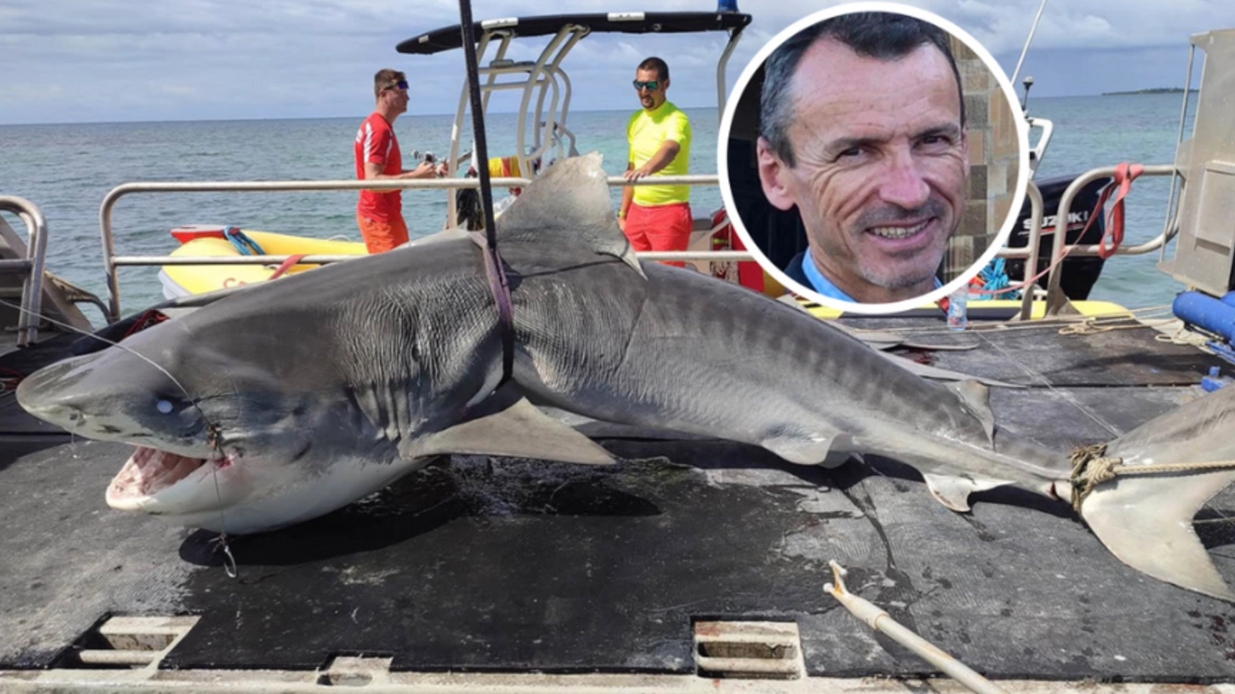 Humungous shark captured after dad was mauled to death in front of horrified onlookers