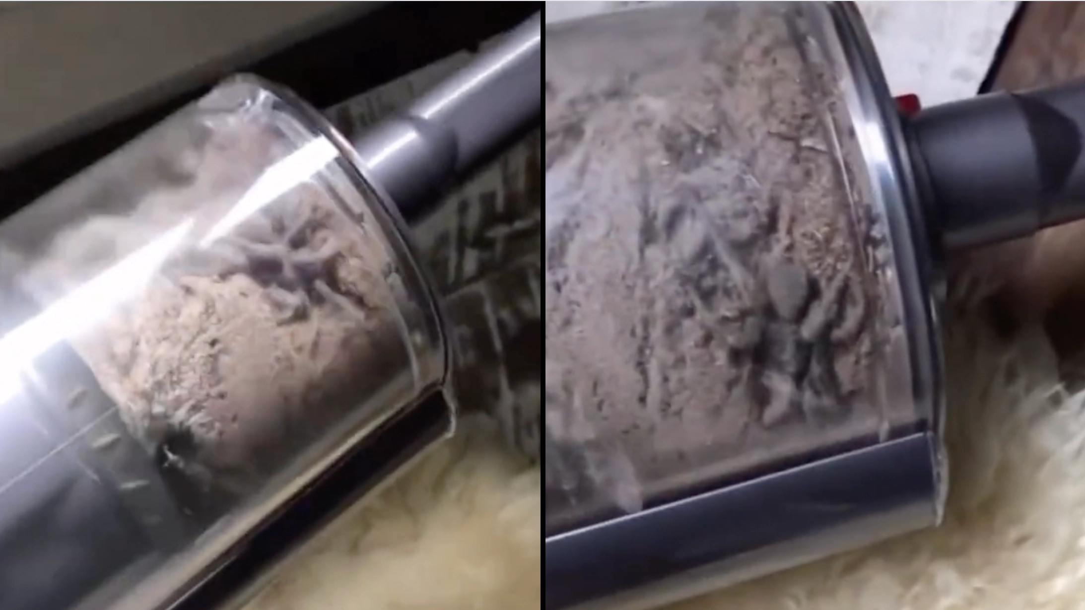 Woman wasn’t able to sleep in her room for three days after looking inside vacuum cleaner