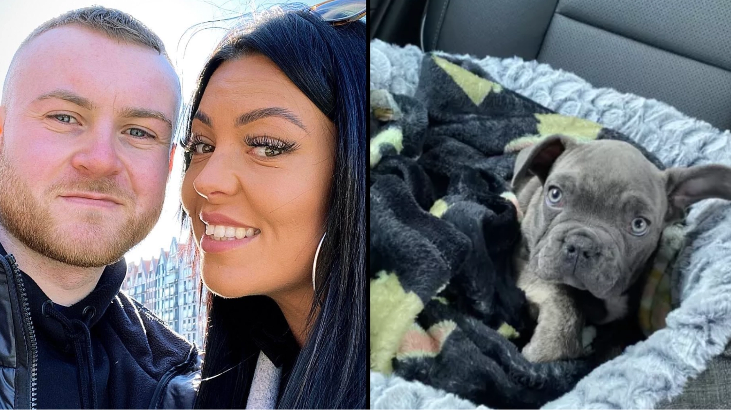 Man whose dog was cremated by kennel he left him in shares list of red flags in the incident