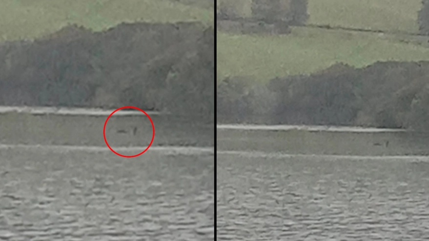 Man captures 'clearest evidence yet' of the Loch Ness Monster