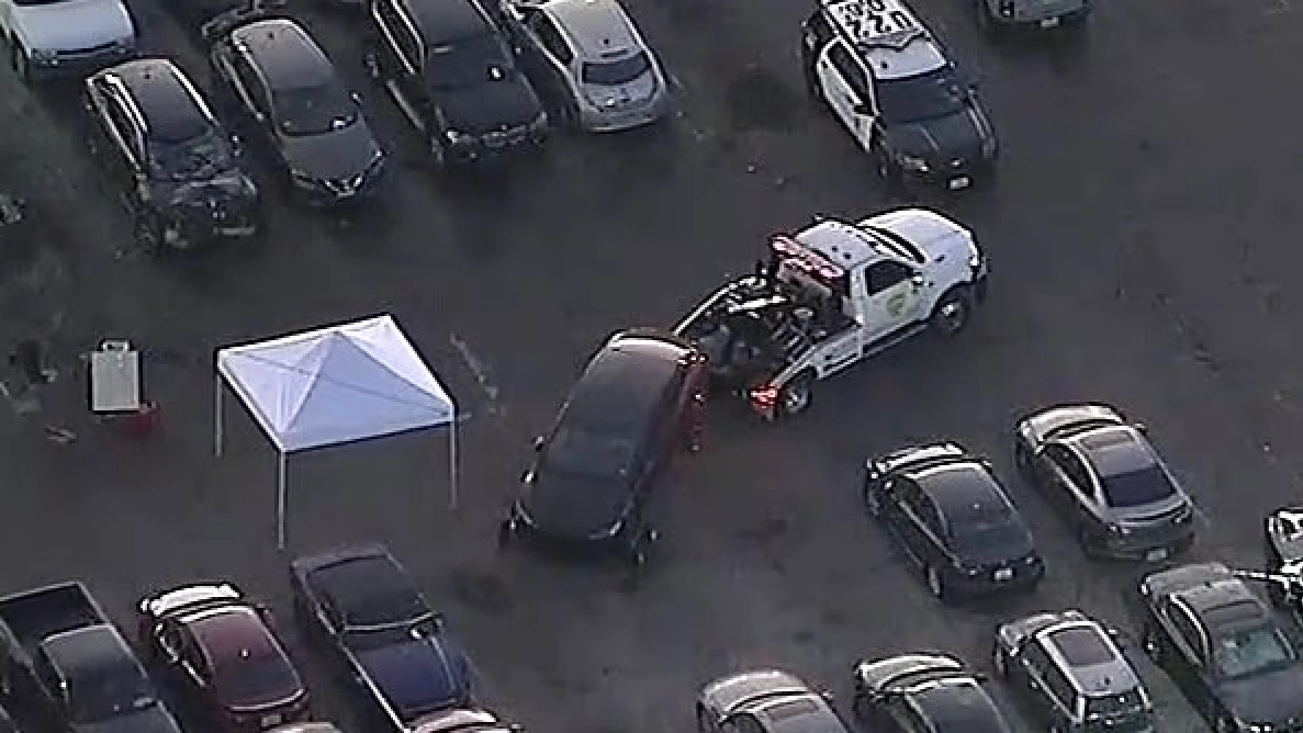 Decomposing body found in boot of impounded Tesla allegedly belonging to US singer