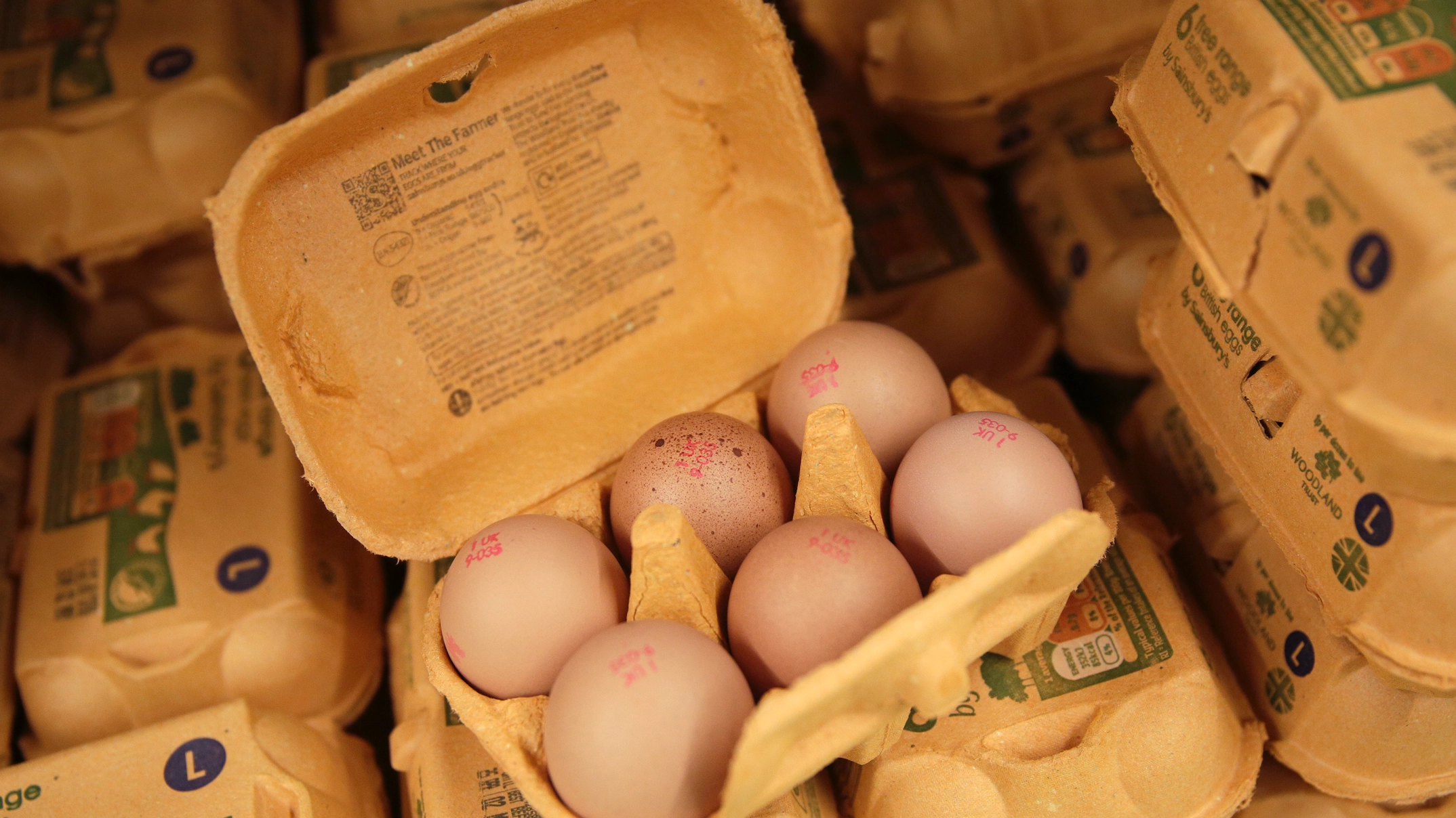 Signs emerge warning Sainsbury's shoppers they will be prosecuted for swapping eggs