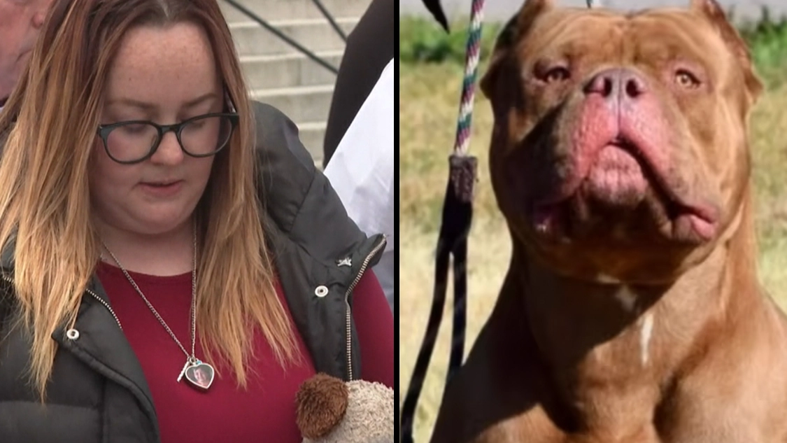 Mum whose son, 10, was killed by XL Bully dog says Government must stop 'plague of dog attacks'