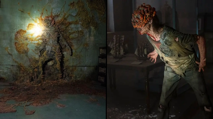 Scientists explain how fungus from The Last of Us could pose an actual threat