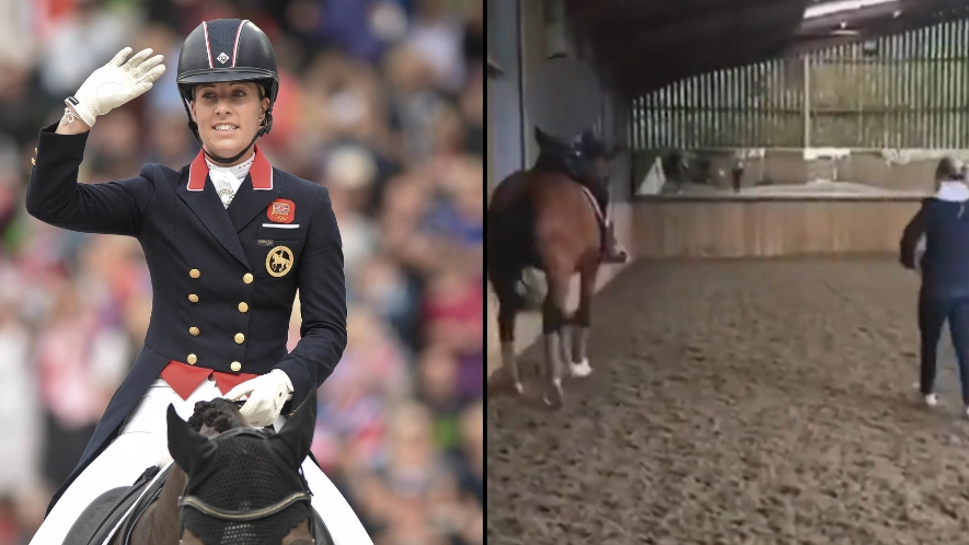 British Dressage chief speaks out against ‘real reason’ whistleblower leaked Team GB horse video