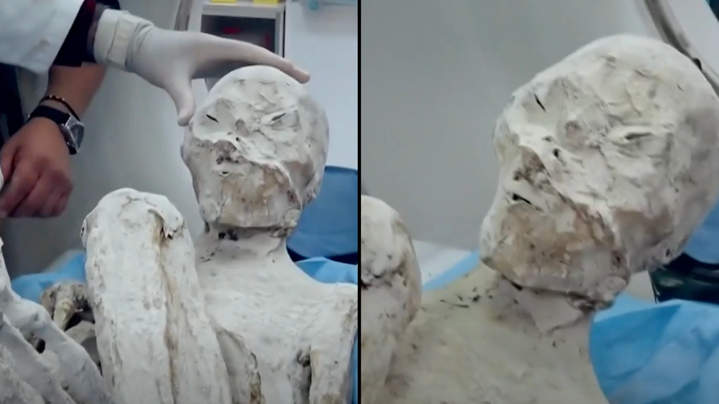 Further mystery in case of 'alien mummies' as two more corpses are found