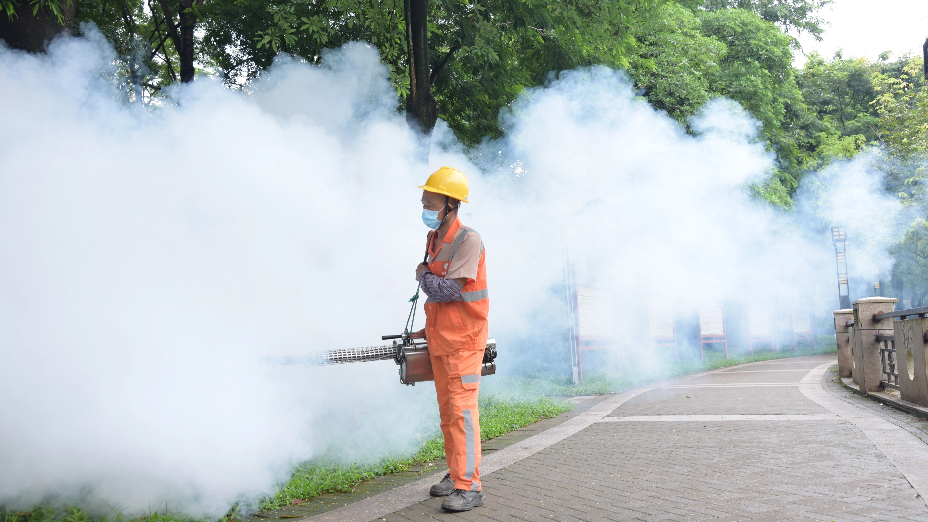 Chikungunya virus that forced China into 'pandemic measures' discovered in the US