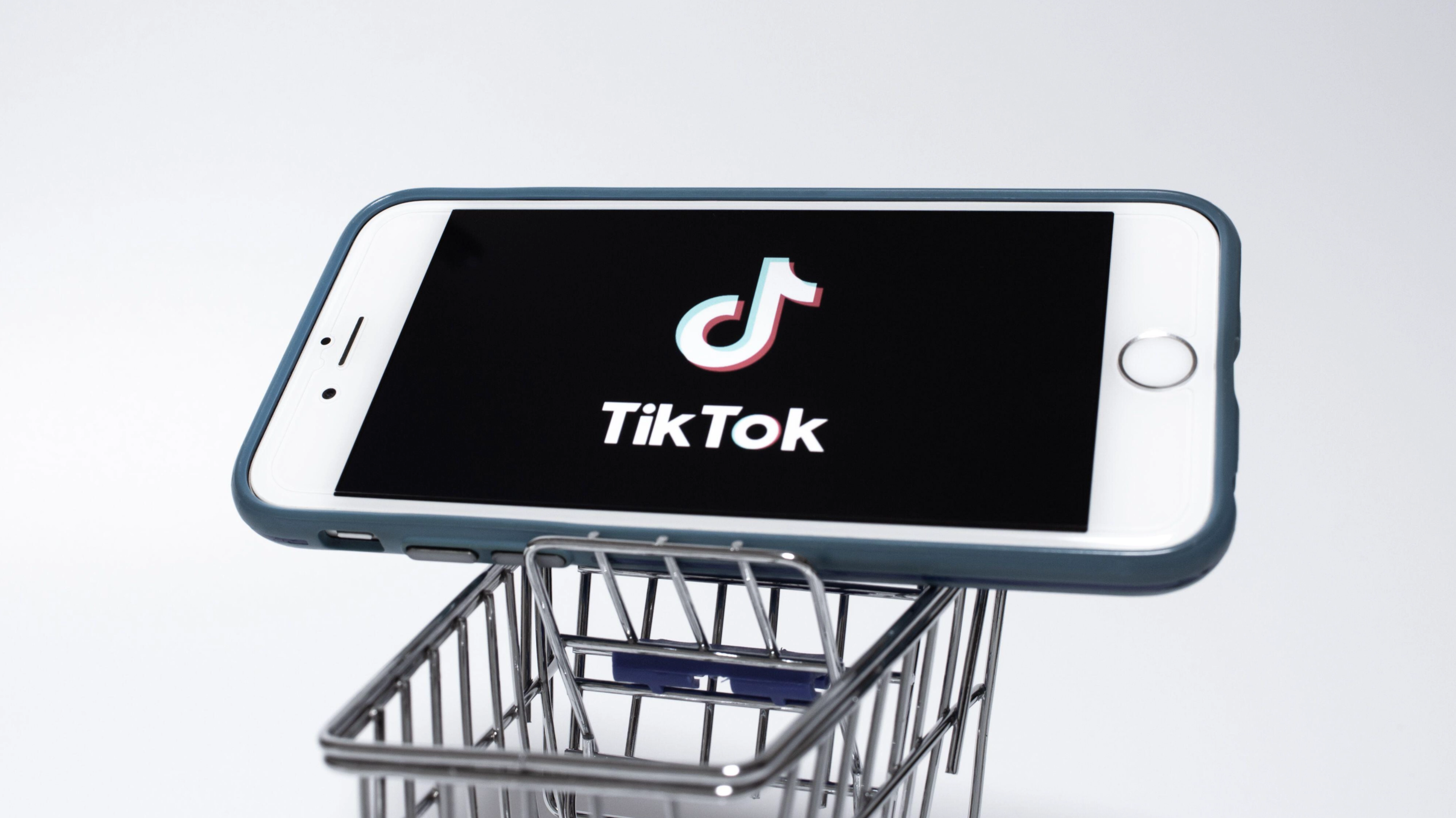 How Much Is A Lion Gift Worth On TikTok?