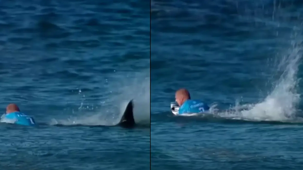 Surfer's quick thinking saves him after getting attacked by great white shark on live TV