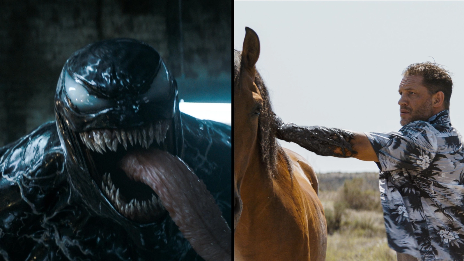 Venom and Eddie hit the road in "Venom: The Last Dance" — and we’ve got your tickets to see it before anyone else