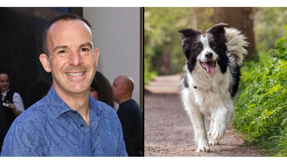 Martin Lewis issues urgent warning to all dog owners in the UK