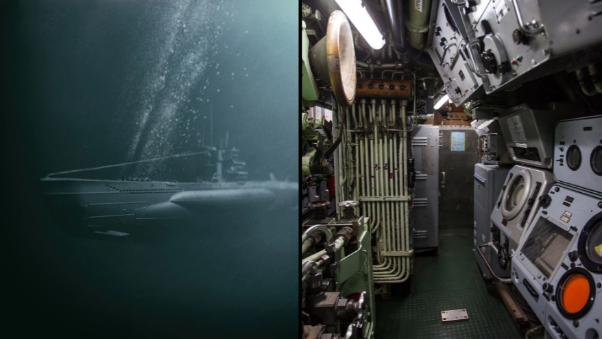 Terrifying reality of what happens if you accidentally hear an active submarine sonar while underwater 