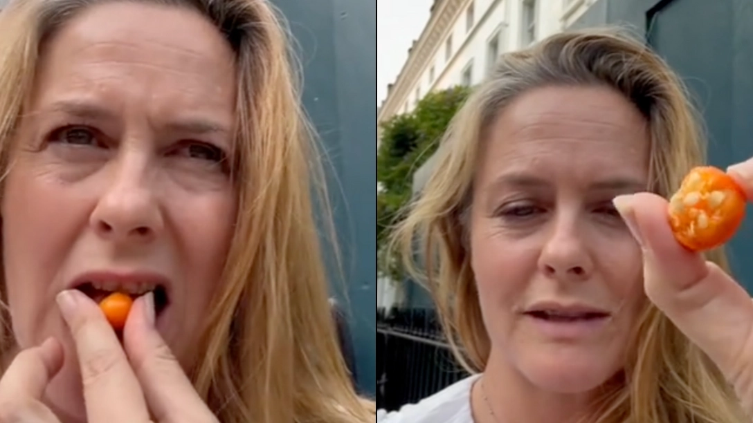 Alicia Silverstone shares health update after sparking fears when unknowingly eating poisonous plant in UK