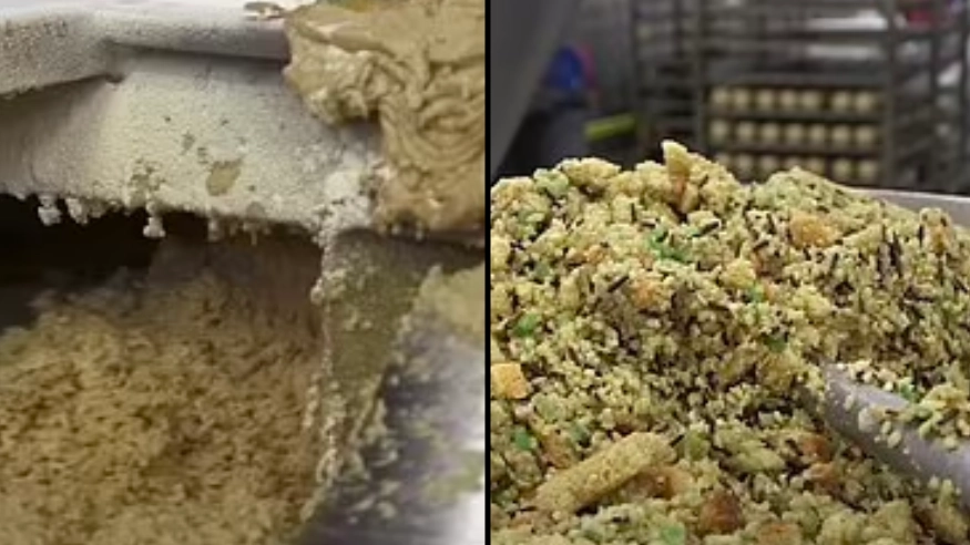 People left feeling sick after discovering how vegan meat is made