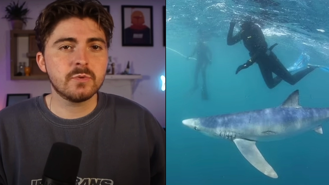 Scientist explains why woman was bitten in Britain's first shark attack for 175 years