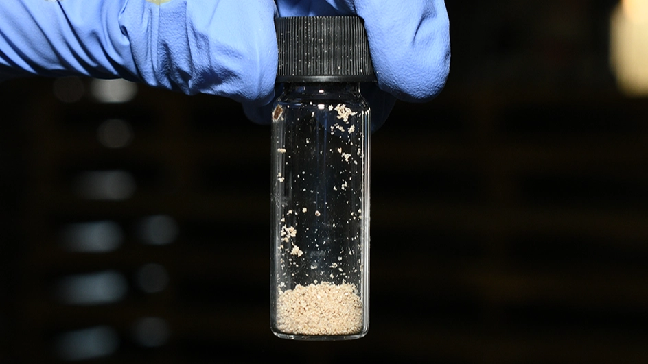 Police have discovered a record shipment of fentanyl in Melbourne