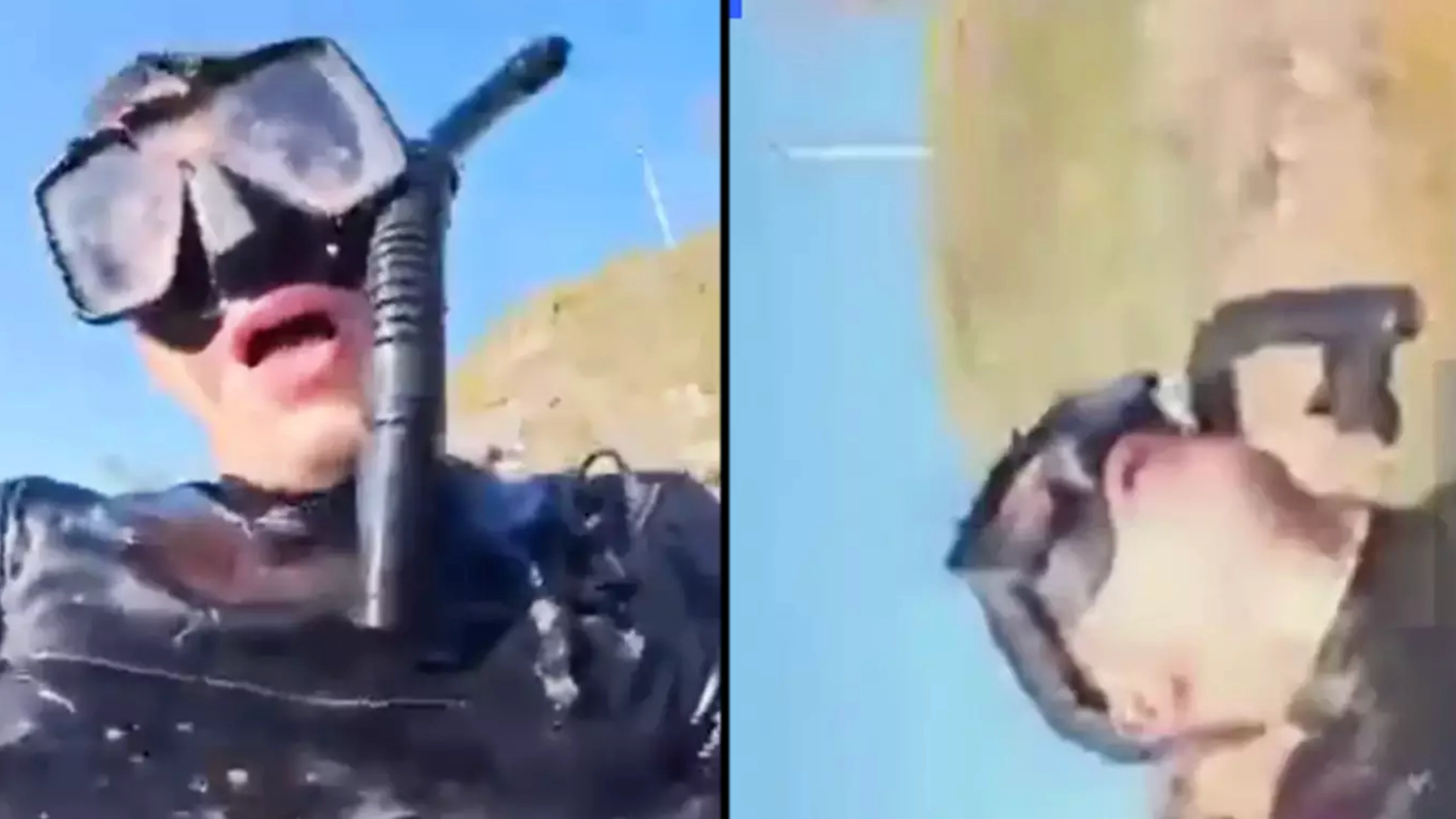 Man records ‘final moments’ before being savagely mauled by a shark