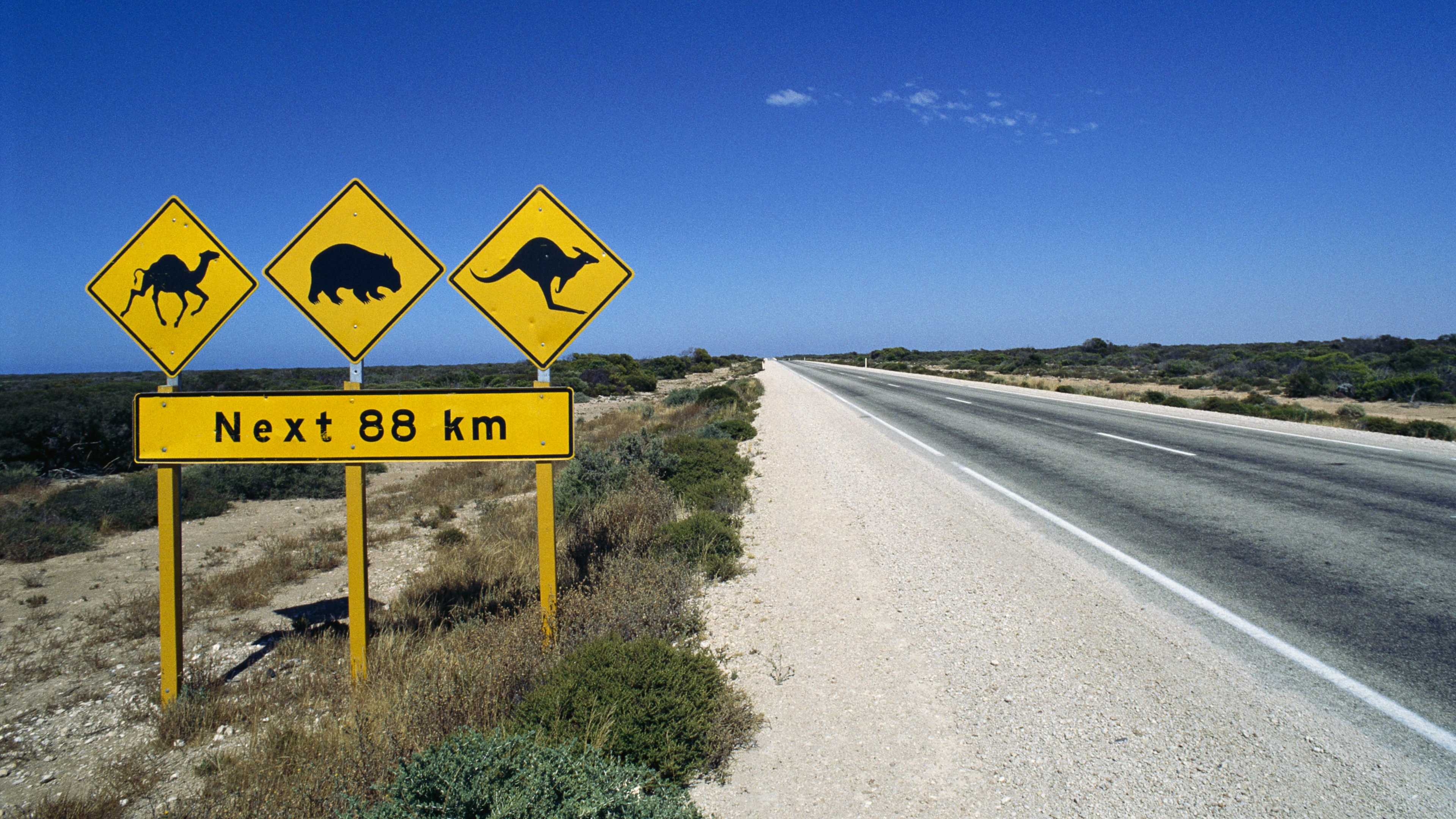 The best Aussie road trips to take this Easter Long Weekend