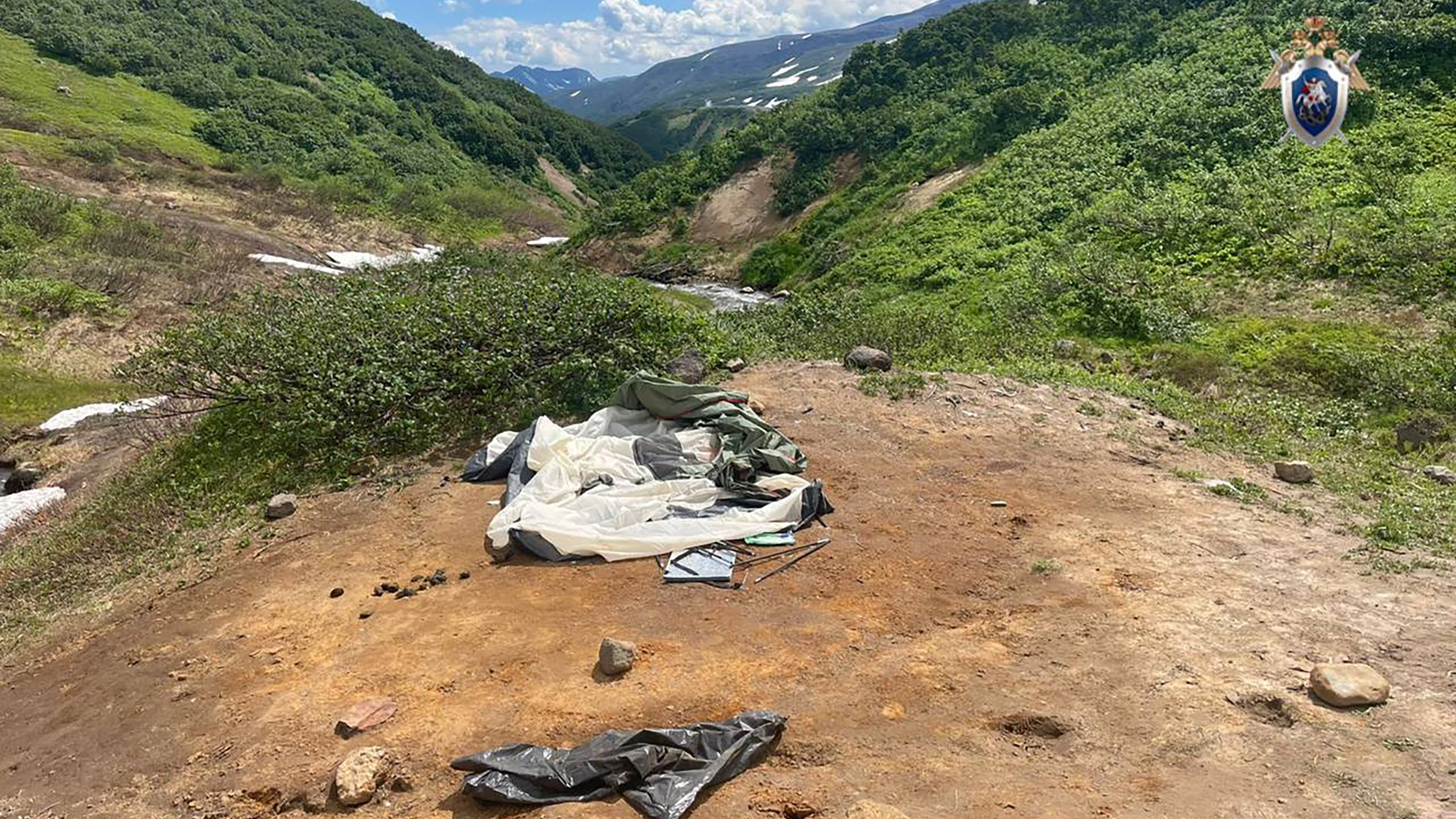 Tourist fighting for life after being dragged from tent and attacked by bear in night on tour